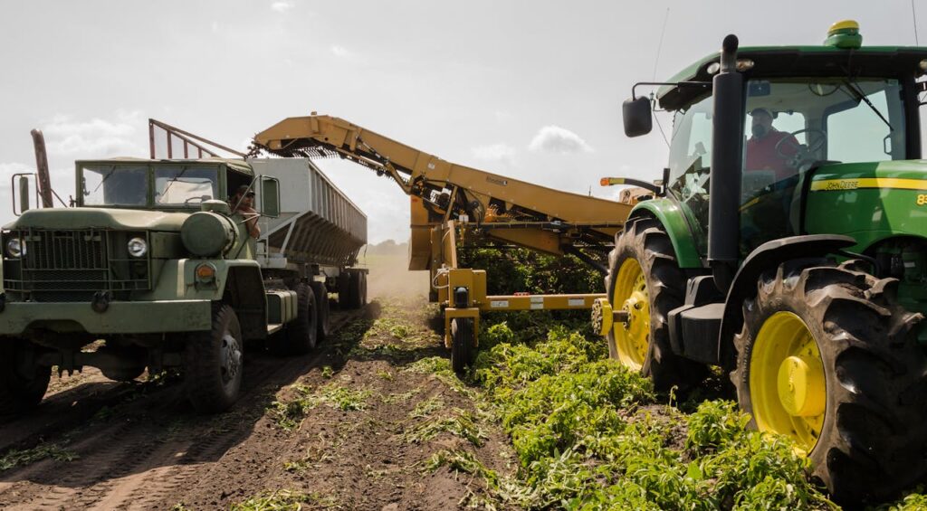 un tractor recolector y uno que se encarga de almacenar lo que el primero colecta, trabajando una finca