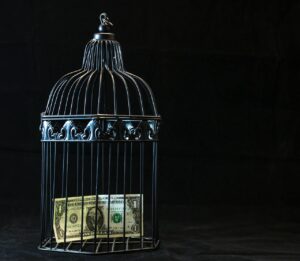 un dólar americano encerrado en una jaula de pájaro